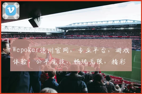 Wepoker德州官网，专业平台，游戏体验，公平竞技，畅玩无限，精彩不停