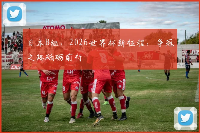 日本B组，2026世界杯新征程，争冠之路砥砺前行