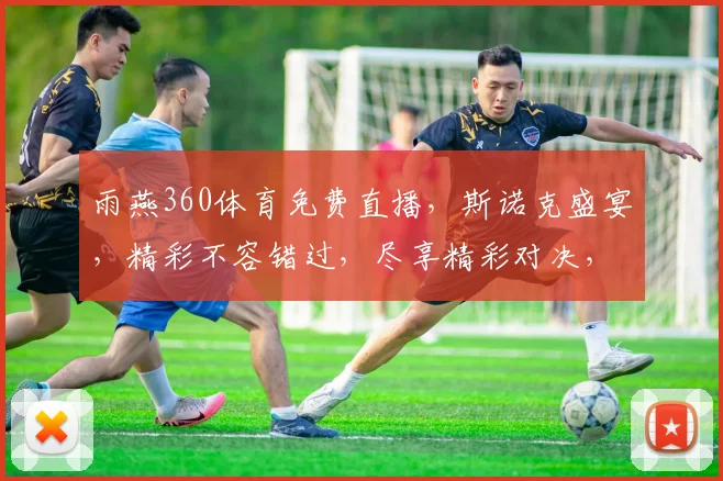 雨燕360体育免费直播，斯诺克盛宴，精彩不容错过，尽享精彩对决，不容错过