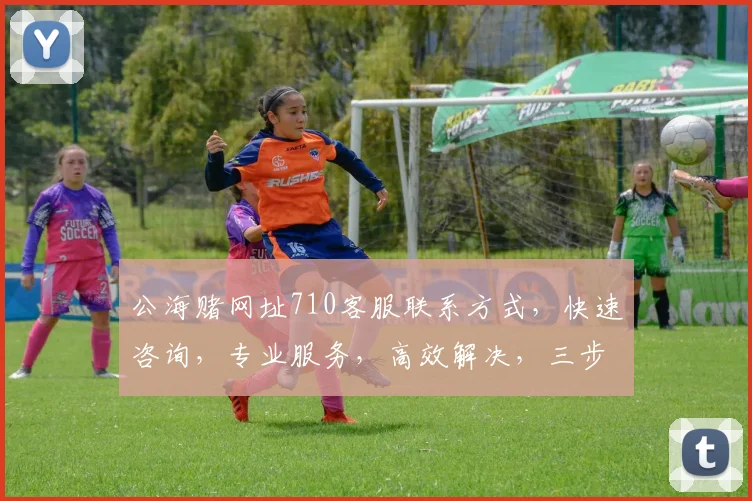 公海赌网址710客服联系方式，快速咨询，专业服务，高效解决，三步直达