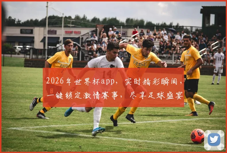 2026年世界杯app，实时精彩瞬间，一键锁定激情赛事，尽享足球盛宴